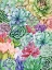 Picture of SUCCULENTS PARADISE