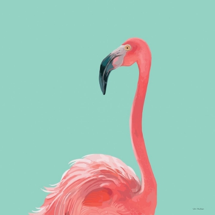 Picture of FLAMINGO