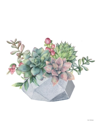 Picture of WATERCOLOR SUCCULENTS