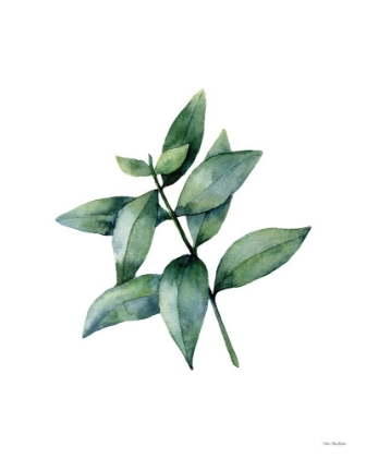 Picture of EUCALYPTUS IV
