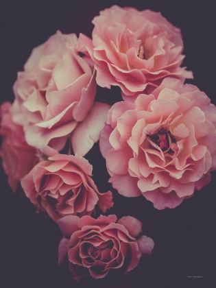 Picture of DREAMY ROSES