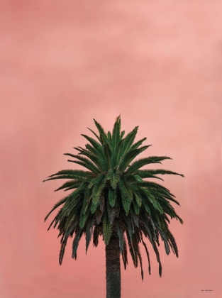 Picture of PINK PALM