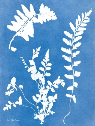 Picture of BLUE BOTANICAL II