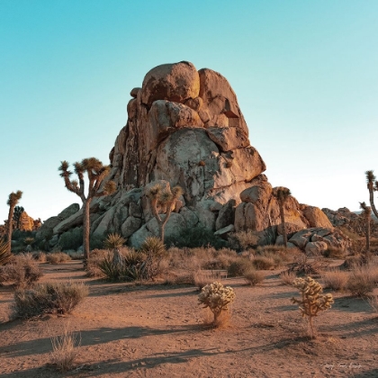 Picture of MOUNTAIN IN THE DESERT