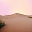 Picture of THE CALM DUNE