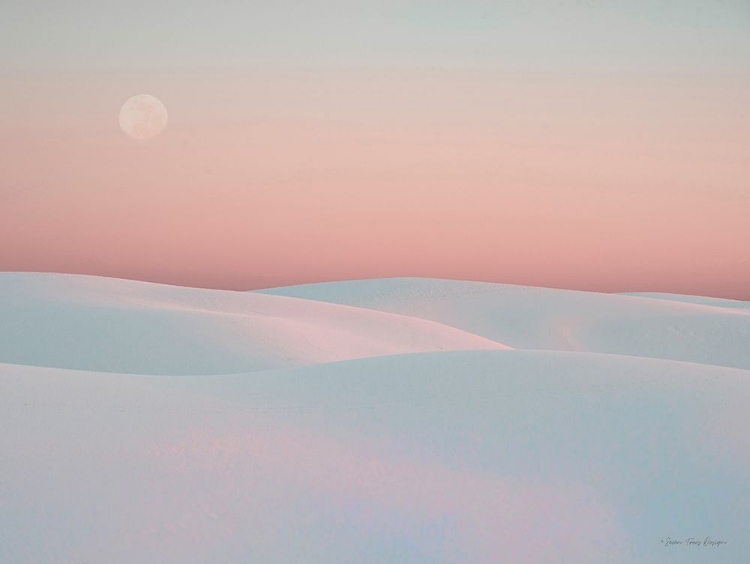 Picture of MOON AND DUNES