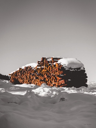 Picture of LOGS IN SNOW   