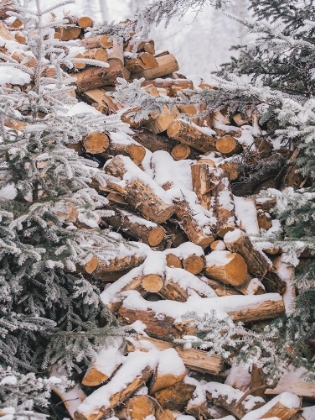 Picture of WINTER WOOD PILE   