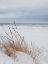 Picture of PEACEFUL BEACH