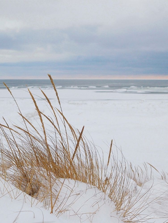 Picture of PEACEFUL BEACH