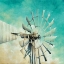 Picture of TEAL WINDMILL