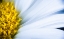 Picture of SOFT REACH