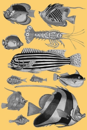 Picture of TROPICAL FISH COLLAGE 1-YELLOW BACKGROUND