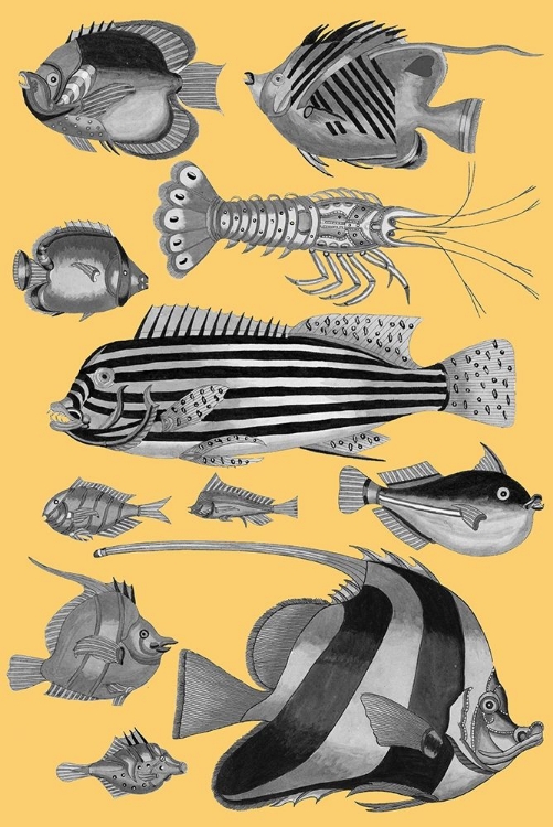 Picture of TROPICAL FISH COLLAGE 1-YELLOW BACKGROUND