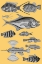 Picture of TROPICAL FISH COLLAGE 2-YELLOW BACKGROUND