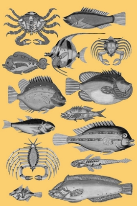Picture of TROPICAL FISH COLLAGE 3-YELLOW BACKGROUND