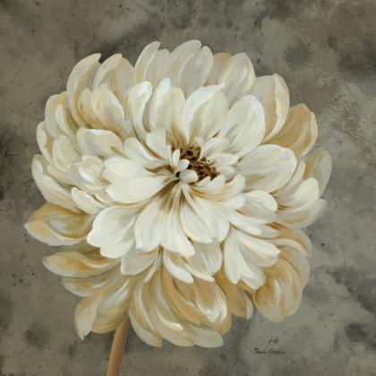 Picture of PEARL GREY FLORAL STUDY I