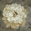 Picture of PEARL GREY FLORAL STUDY I