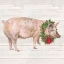 Picture of CHRISTMAS ON THE FARM IV-PIG