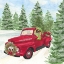 Picture of DOG DAYS OF CHRISTMAS IV-TRUCK