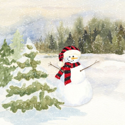 Picture of SNOWMAN WONDERLAND II-RED BLACK SANTA HAT