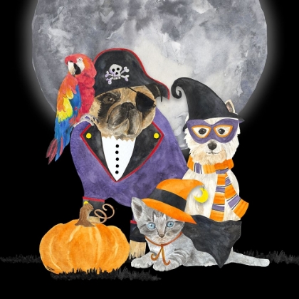 Picture of FRIGHT NIGHT FRIENDS III-PIRATE PUG