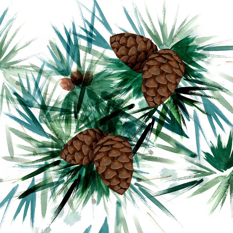 Picture of CHRISTMAS HINTERLAND II-PINE CONES