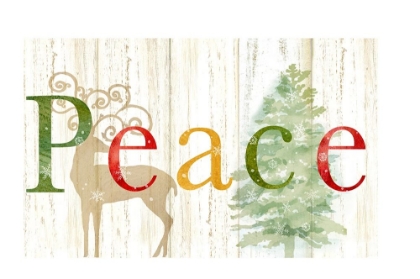 Picture of PEACE WHITEWASH WOOD SIGN