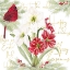 Picture of MERRY AMARYLLIS II