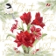 Picture of MERRY AMARYLLIS IV