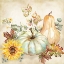 Picture of WATERCOLOR HARVEST PUMPKIN II