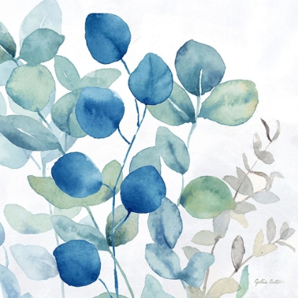 Picture of EUCALYPTUS LEAVES NAVY I