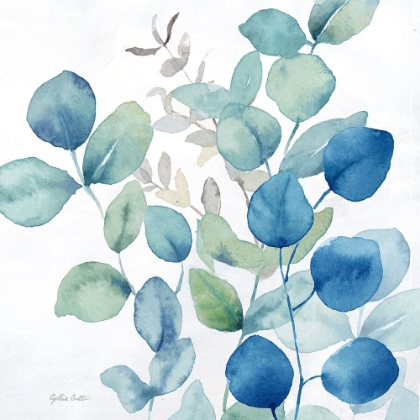 Picture of EUCALYPTUS LEAVES NAVY II