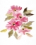Picture of FARMHOUSE FLORALS V