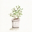 Picture of POTTED BOTANICALS I