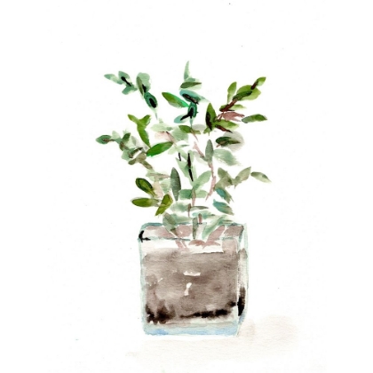 Picture of POTTED BOTANICALS V