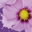 Picture of FLOWER POP III