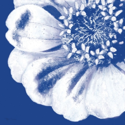 Picture of FLOWER POP BLUE II