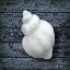 Picture of SEASHORE SHELLS NAVY IV