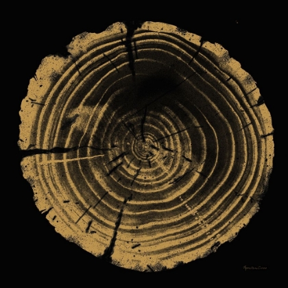 Picture of TREE TRUNK II