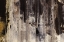 Picture of NEUTRAL STRIPES II