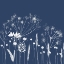Picture of INDIGO FLOWERS I