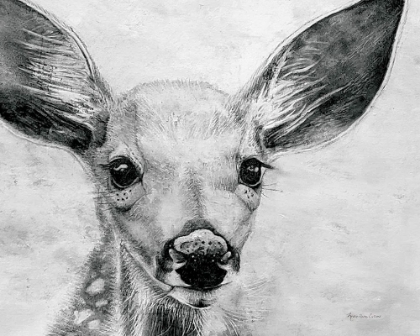 Picture of PORTRAIT OF A FAWN