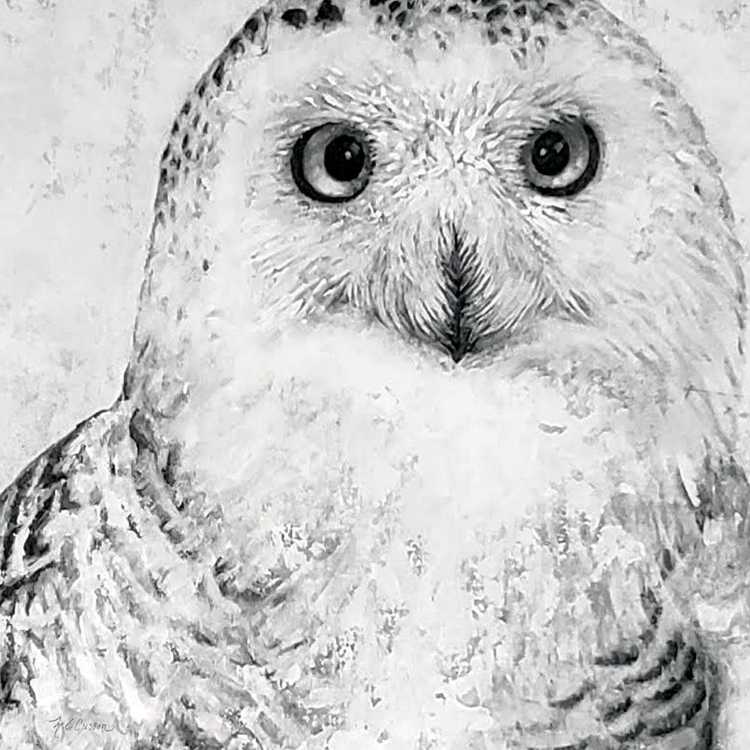 Picture of PORTRAIT OF A SNOWY OWL