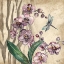 Picture of BOHO ORCHID AND DRAGONFLY I