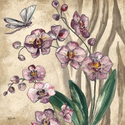 Picture of BOHO ORCHID AND DRAGONFLY II