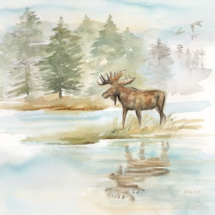 Picture of WOODLAND REFLECTIONS II-MOOSE