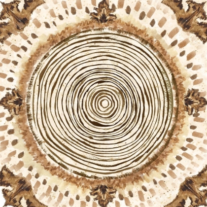 Picture of WARM TRIBAL TEXTURE MEDALLION III