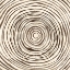 Picture of WARM TRIBAL TEXTURE SPIRAL I