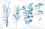 Picture of INDIGO BOTANICALS LANDSCAPE